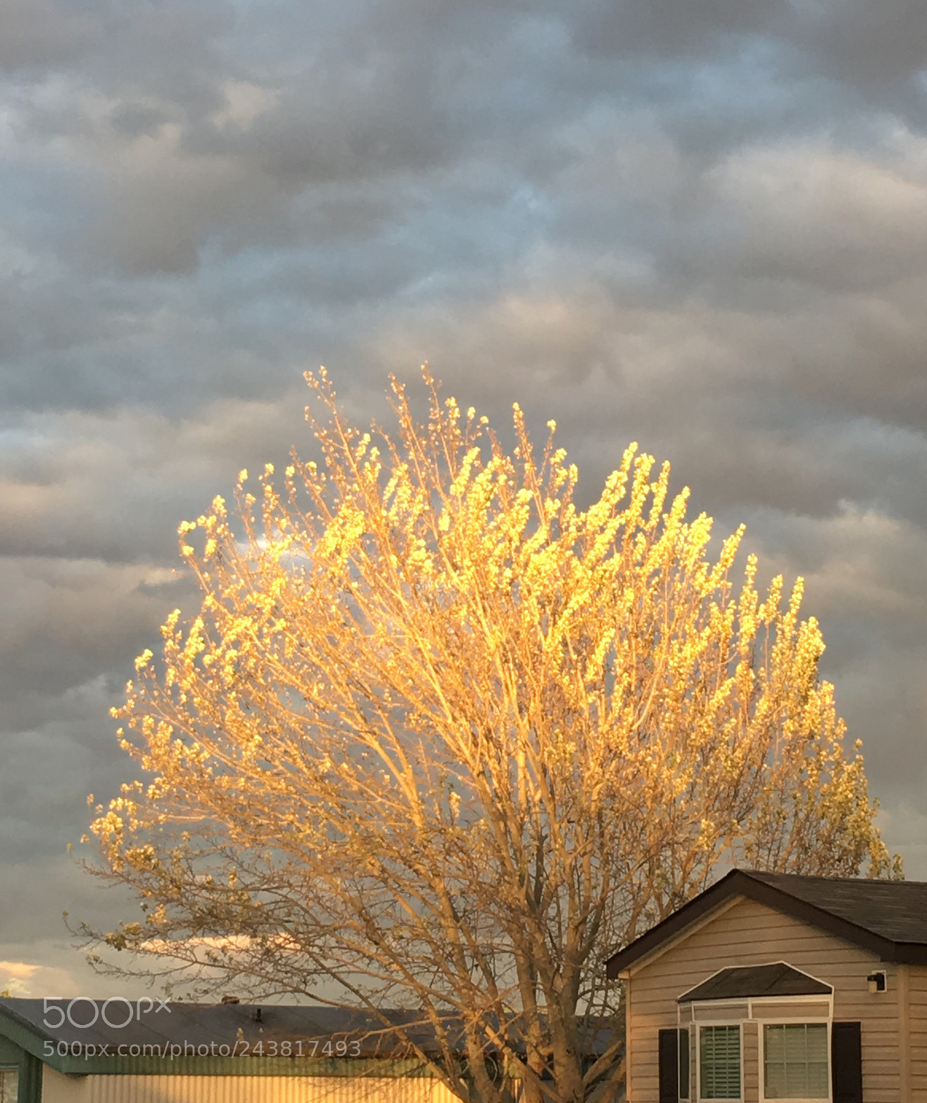 Apple iPhone 6s Plus sample photo. Untitled photography