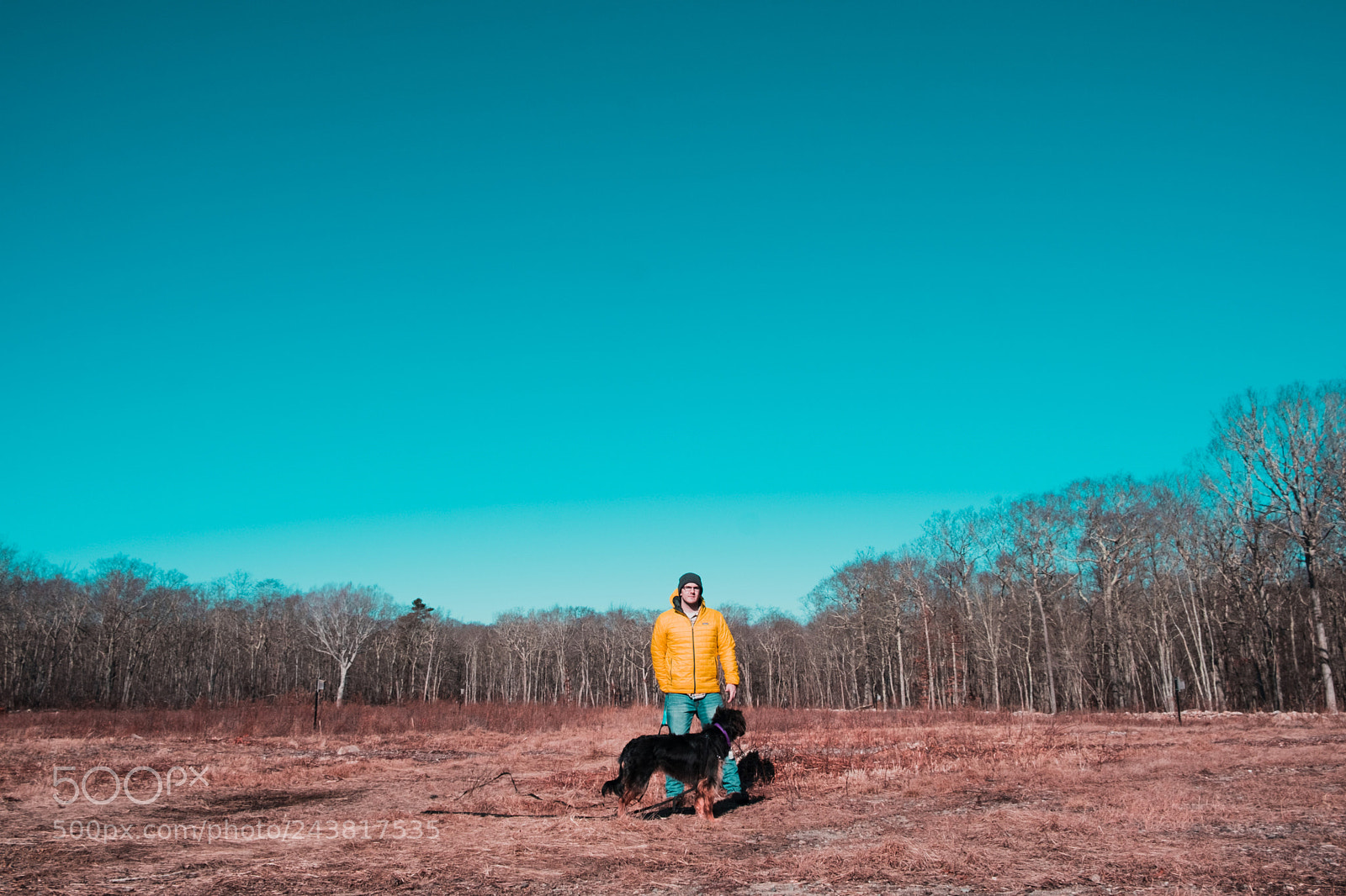 Fujifilm X-Pro2 sample photo. Winter blues photography