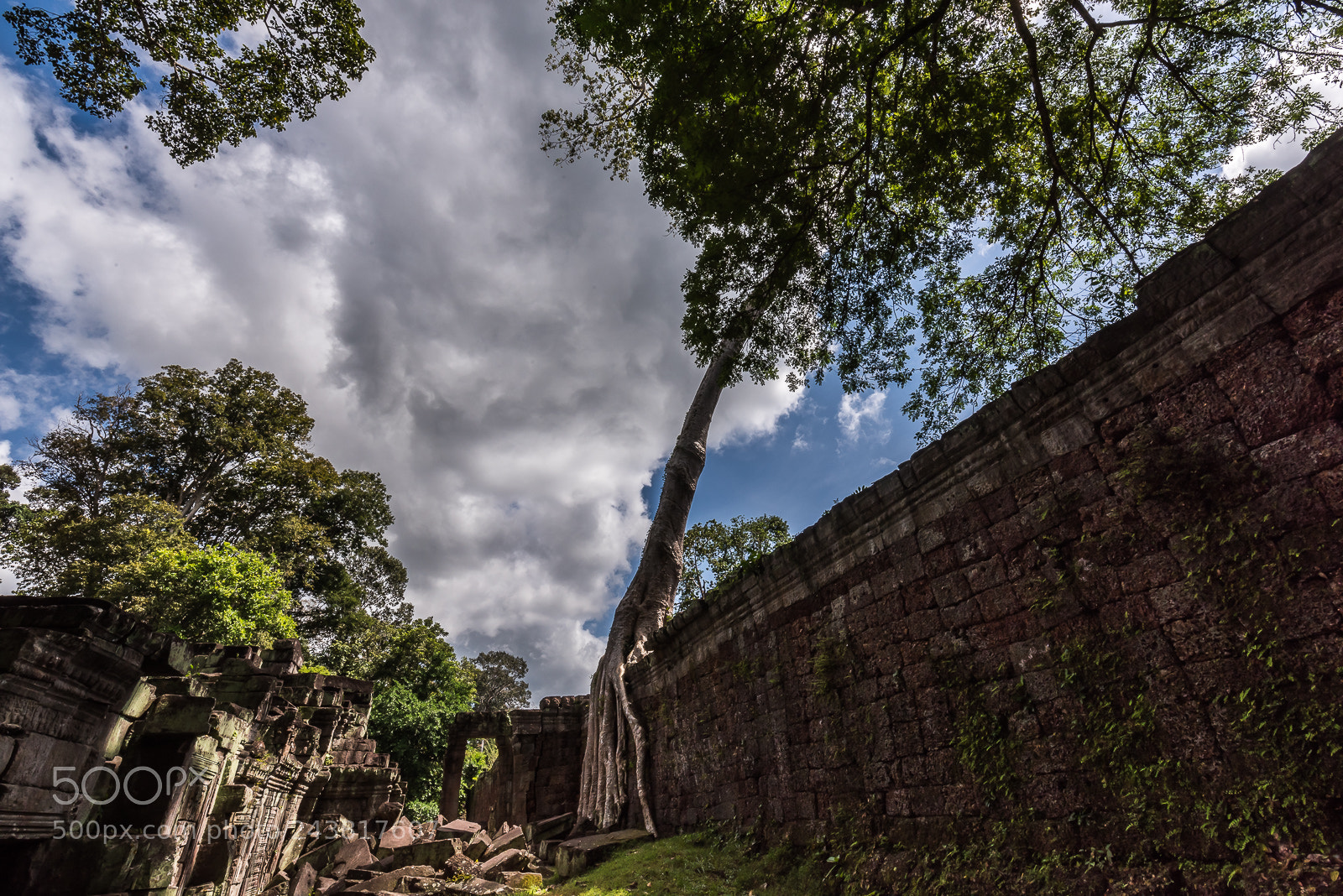 Nikon D810 sample photo. Invasor photography