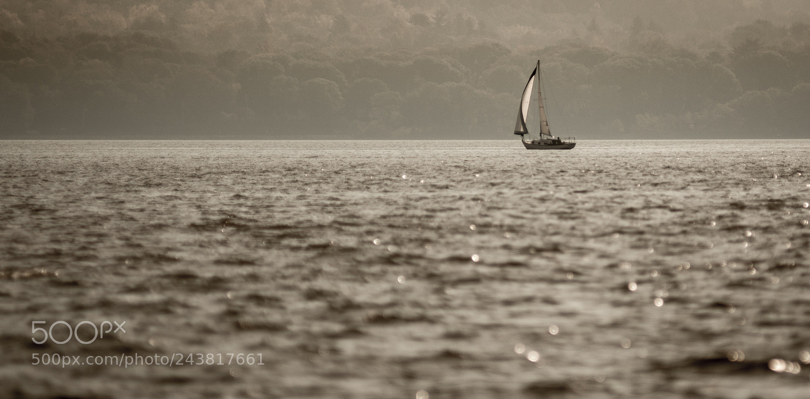 Nikon D7100 sample photo. Alone on the mighty photography