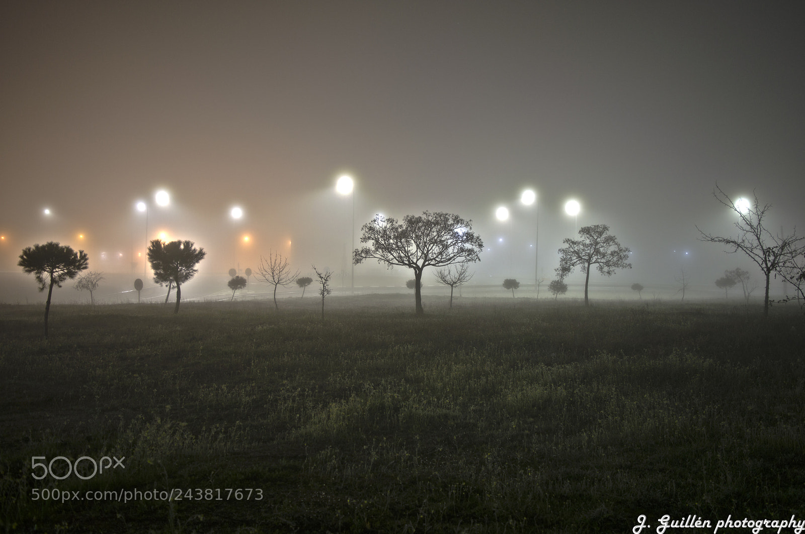 Nikon D3200 sample photo. Niebla photography