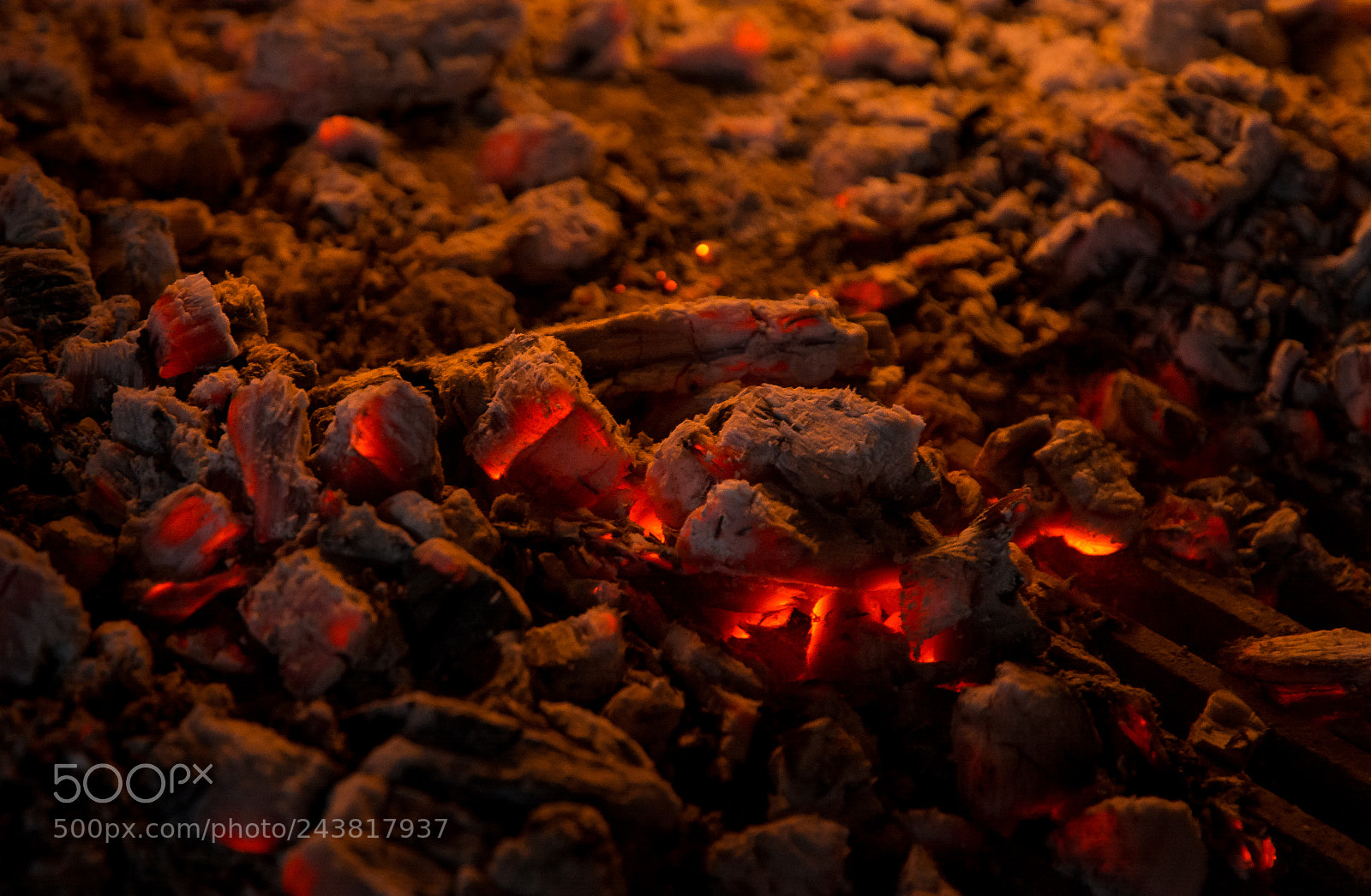 Nikon D7100 sample photo. Fire under the ash photography