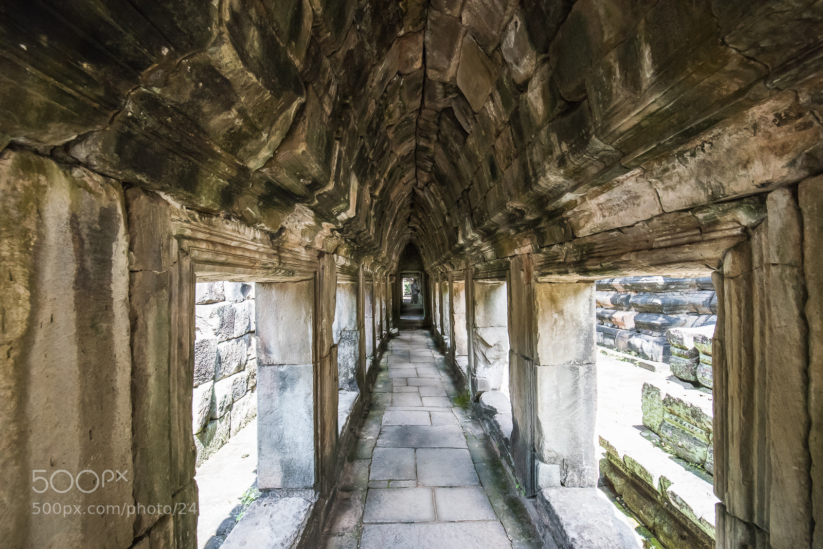 Nikon D810 sample photo. Waiting photography