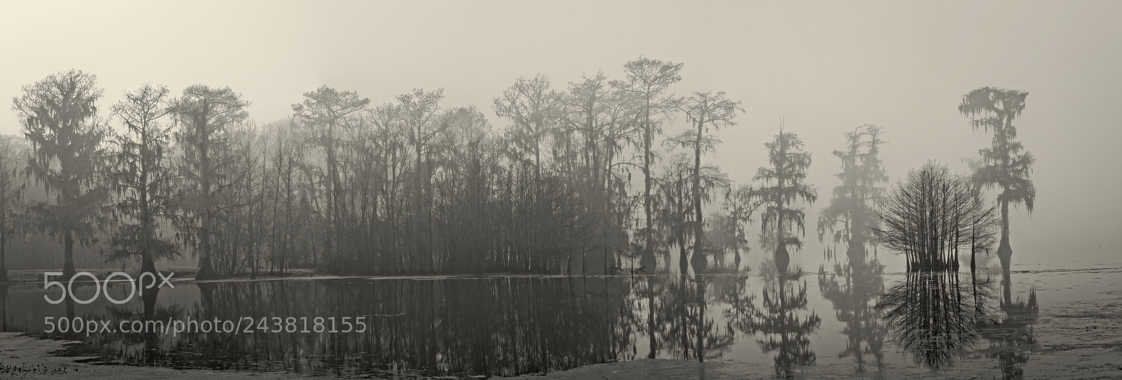Canon EOS 7D Mark II sample photo. Fog on the lake photography