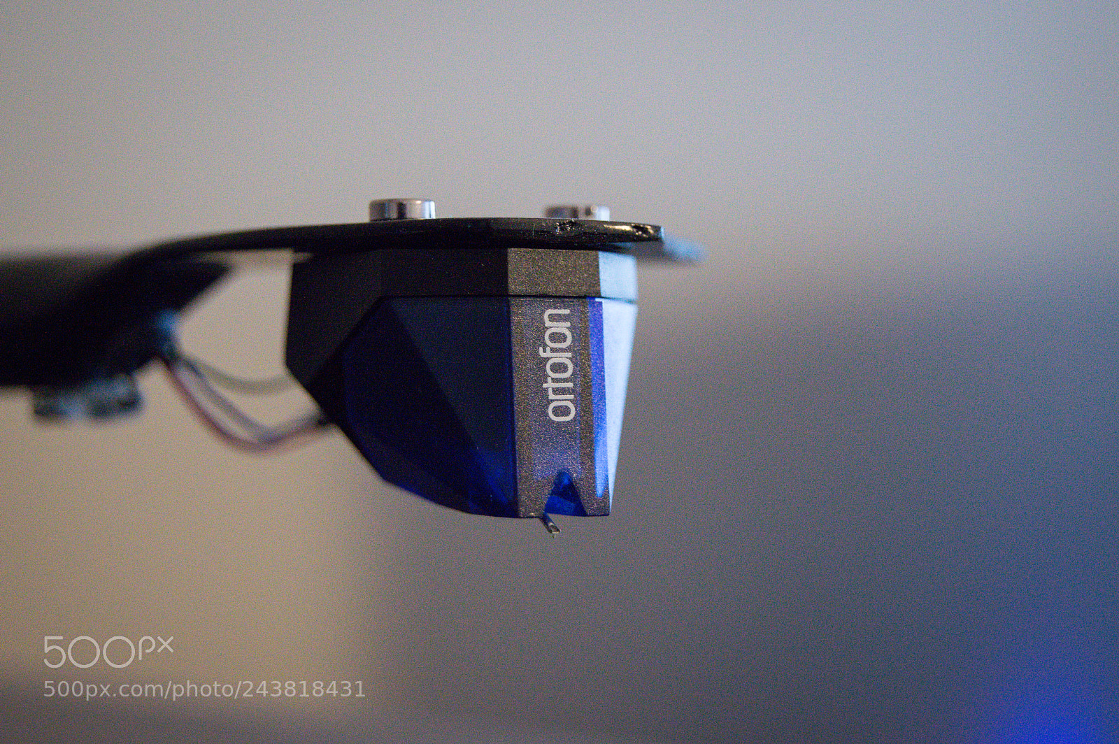 Nikon D3200 sample photo. Dsc photography