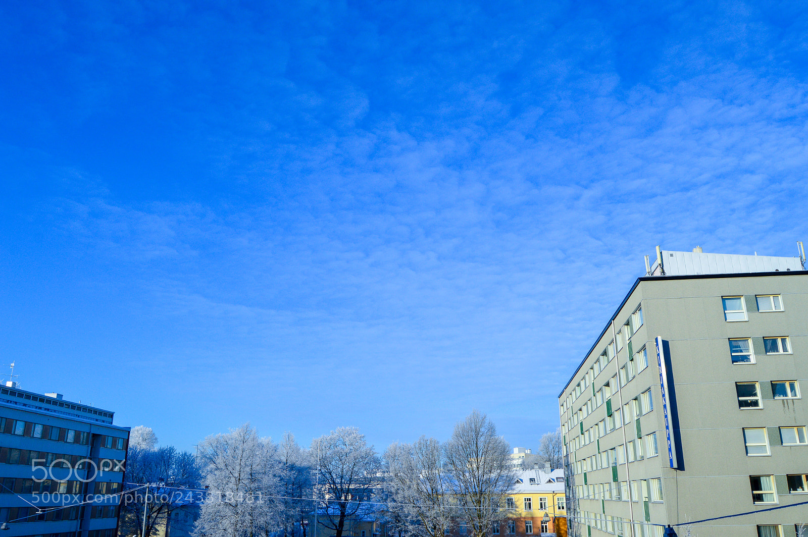 Nikon D3200 sample photo. Dsc photography