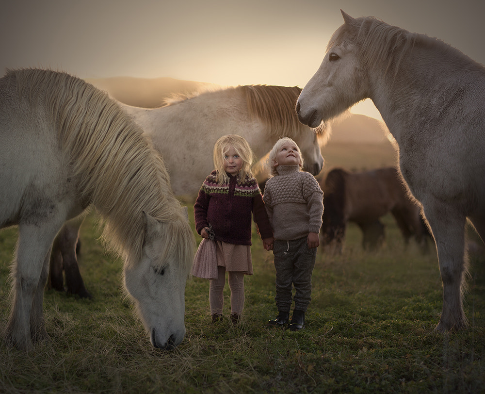 ..in Iceland by Elena Shumilova on 500px.com