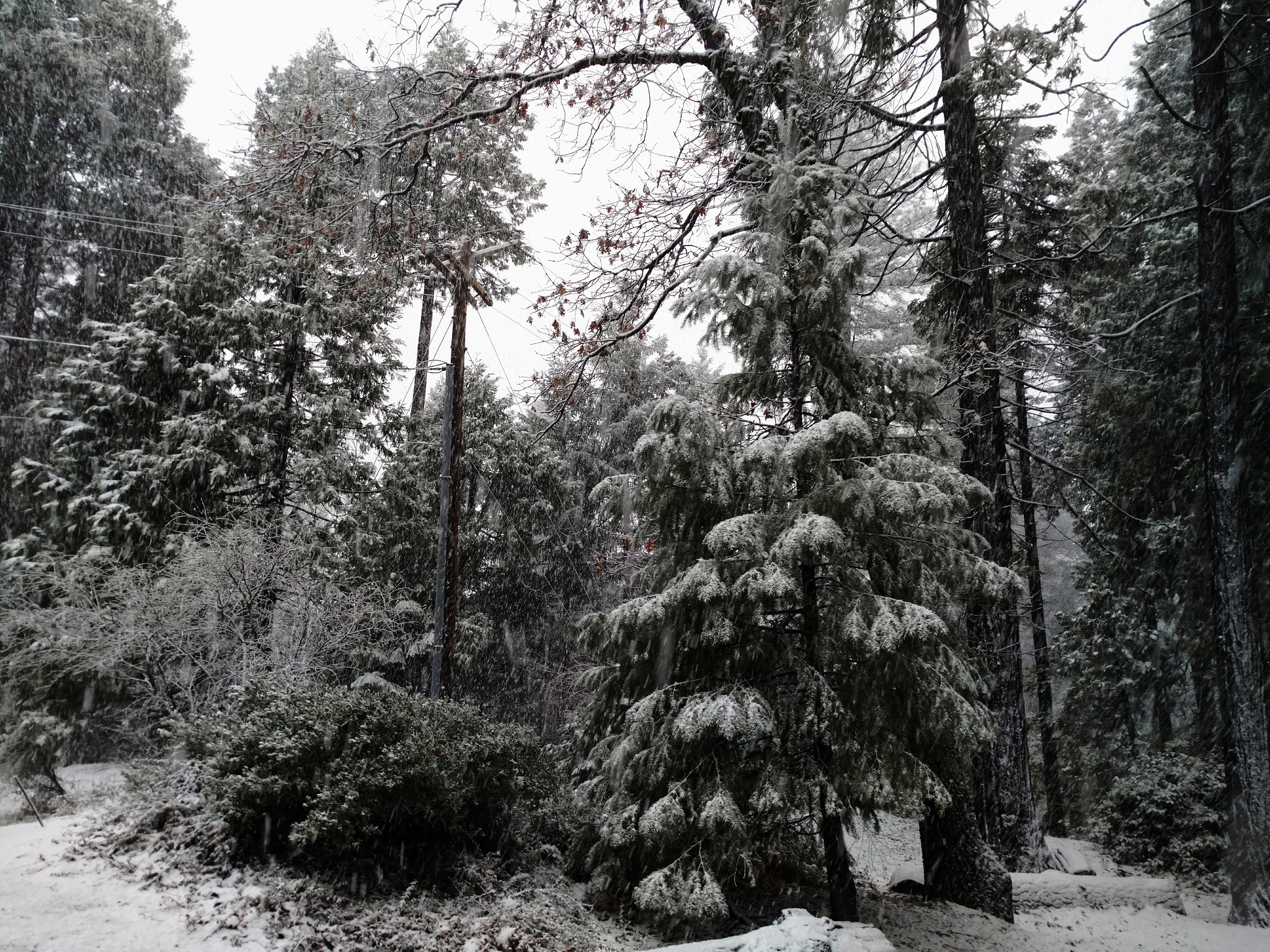 Motorola DROID Turbo 2 sample photo