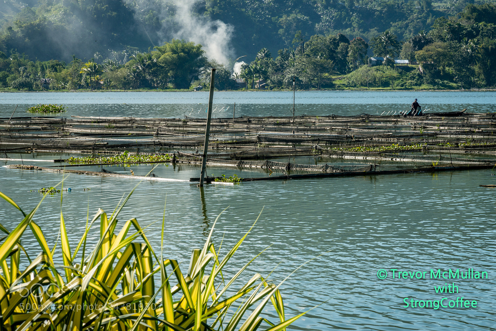 Nikon D800 sample photo. Fish farming on cebu photography