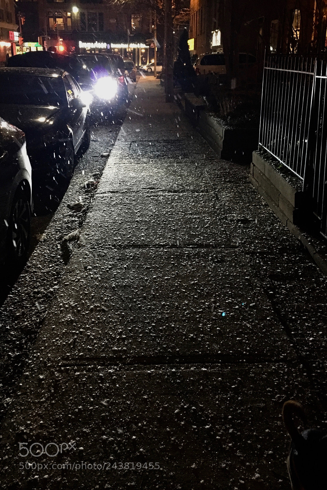 Apple iPhone 6s sample photo. Untitled photography