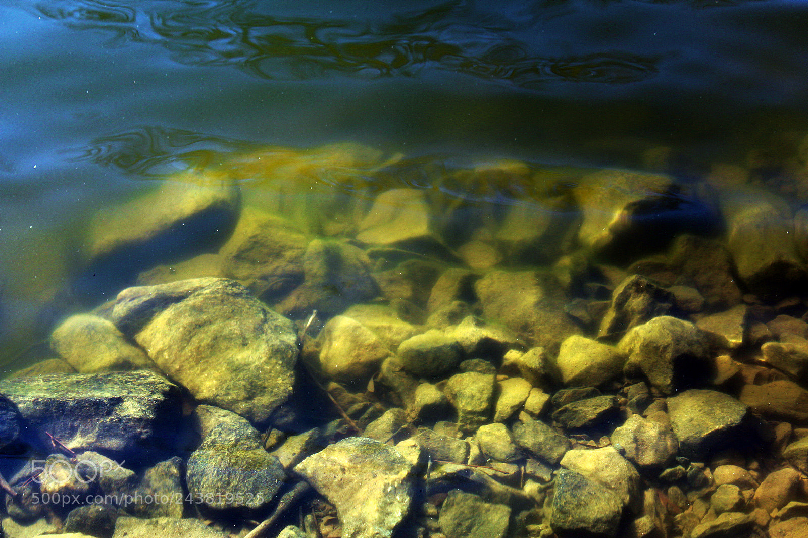 Canon EOS 1300D (EOS Rebel T6 / EOS Kiss X80) sample photo. Underwater rocks photography