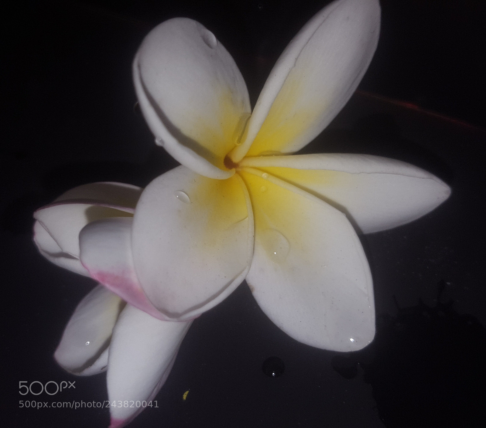 Samsung Galaxy S6 sample photo. Untitled photography