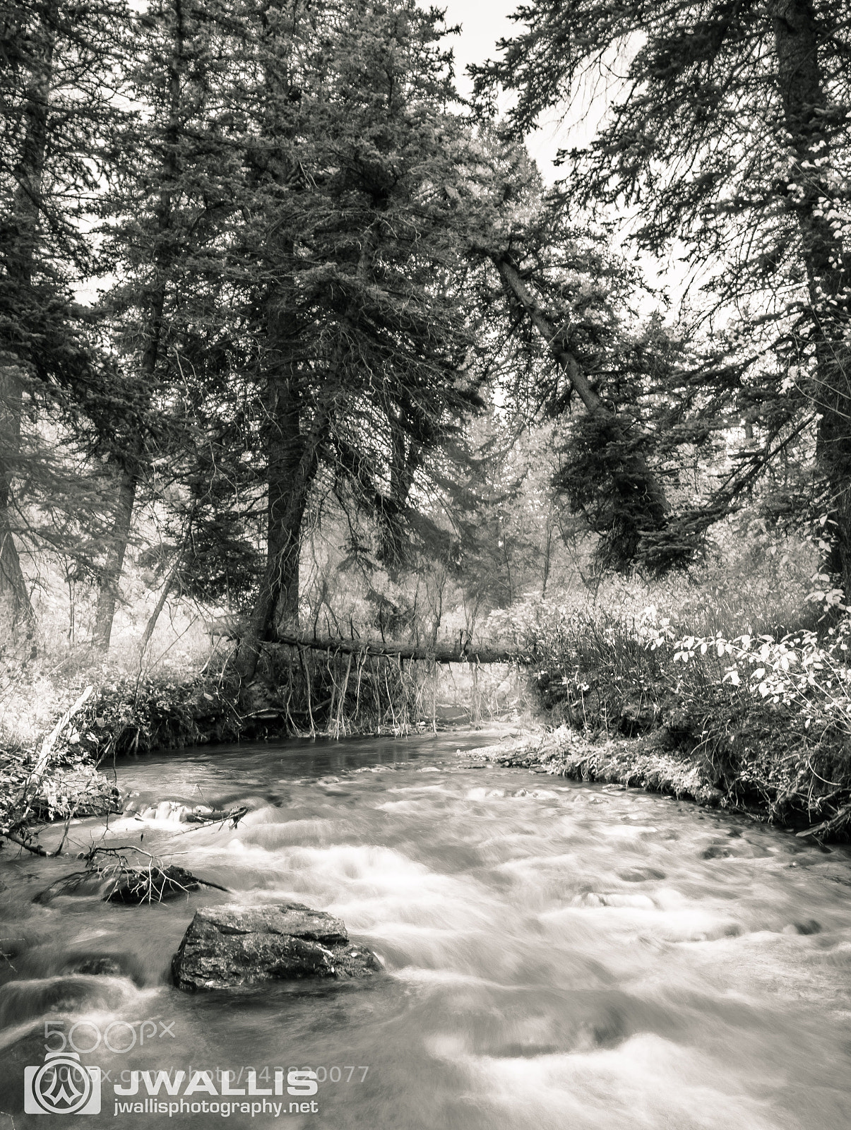 Nikon D5500 sample photo. Taos split tone photography