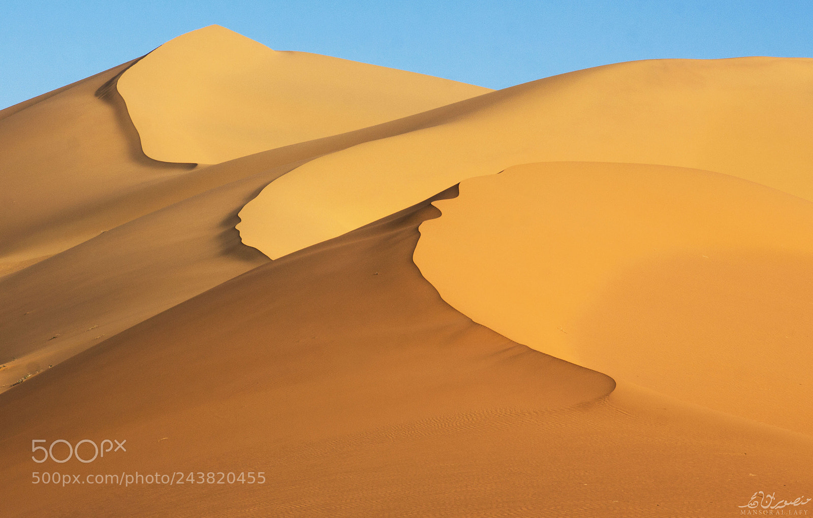 Canon EOS 650D (EOS Rebel T4i / EOS Kiss X6i) sample photo. Sand tops photography