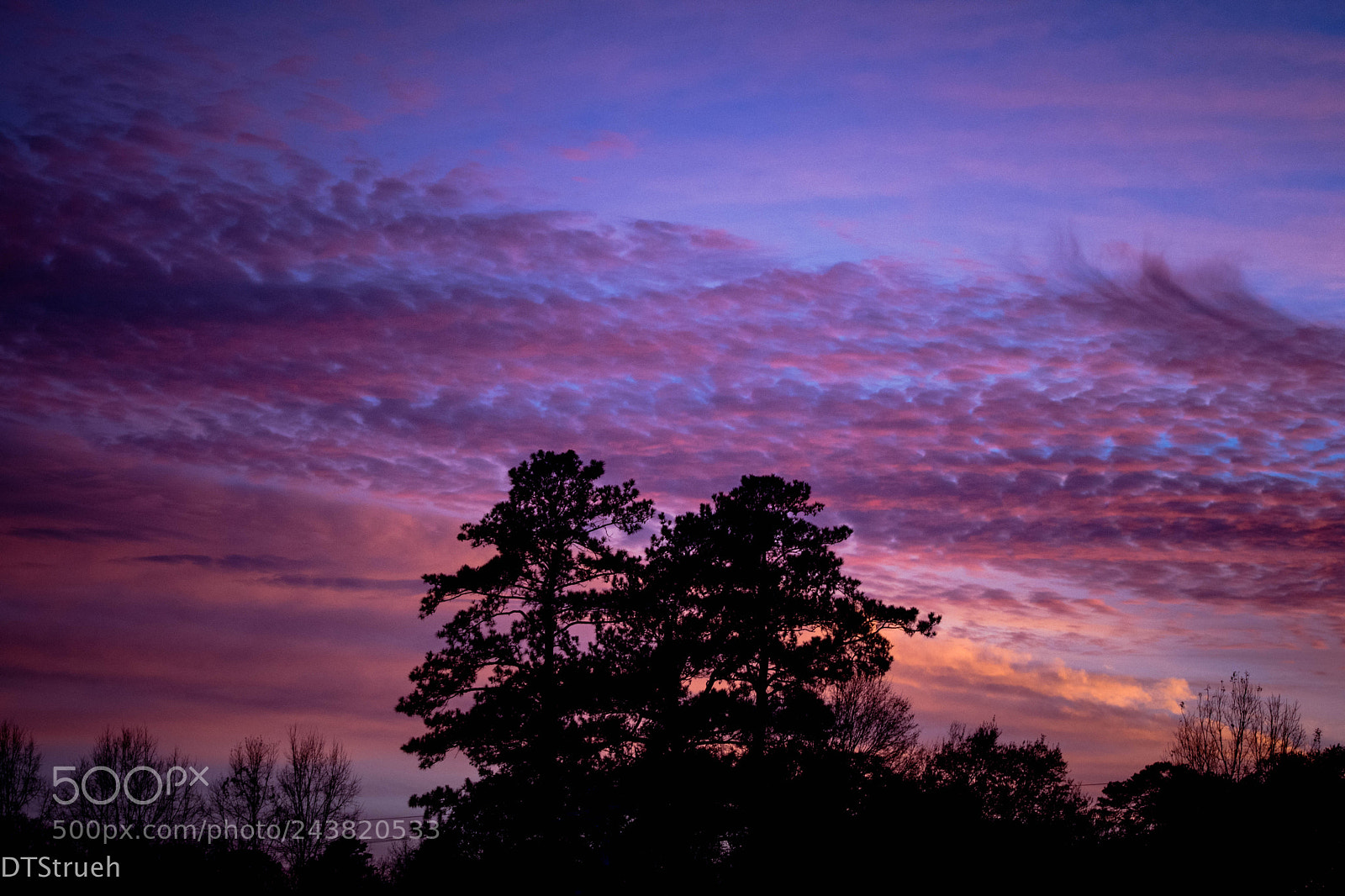 Nikon D7200 sample photo. Behind the tree line photography