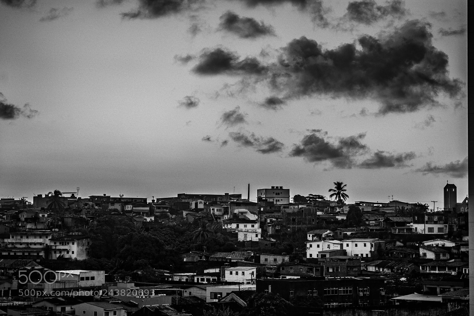 Leica M (Typ 240) sample photo. Carramarela photography