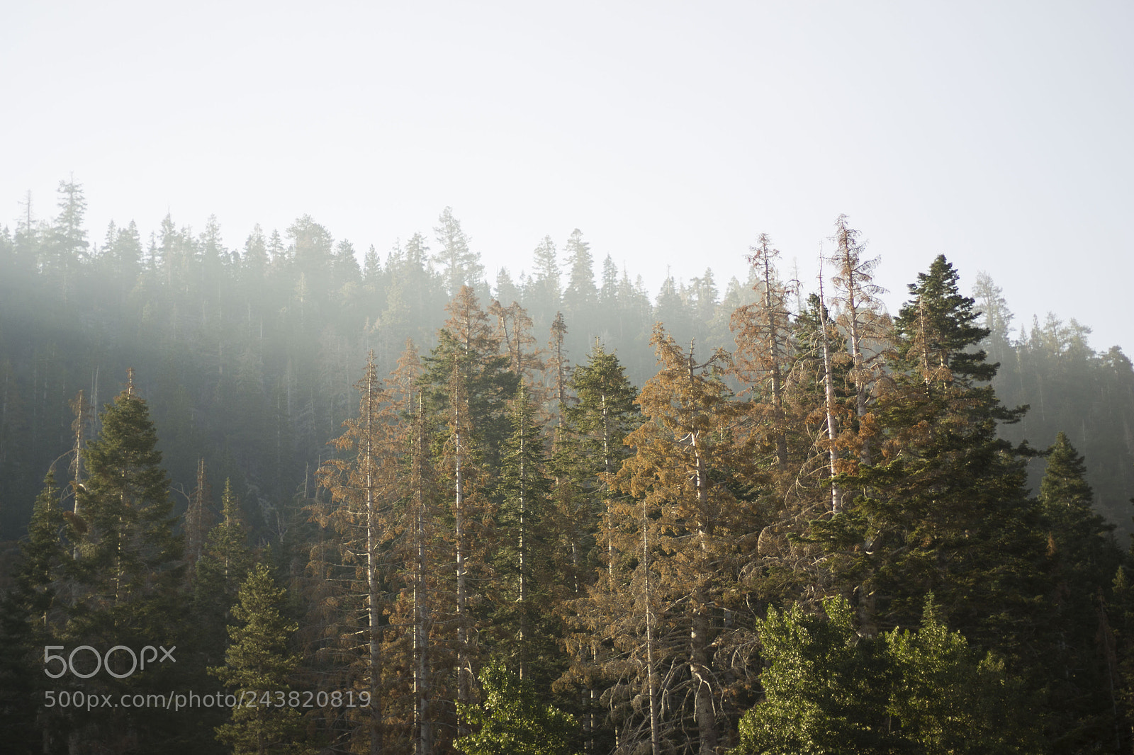 Canon EOS 1100D (EOS Rebel T3 / EOS Kiss X50) sample photo. Smoke in the mountains photography