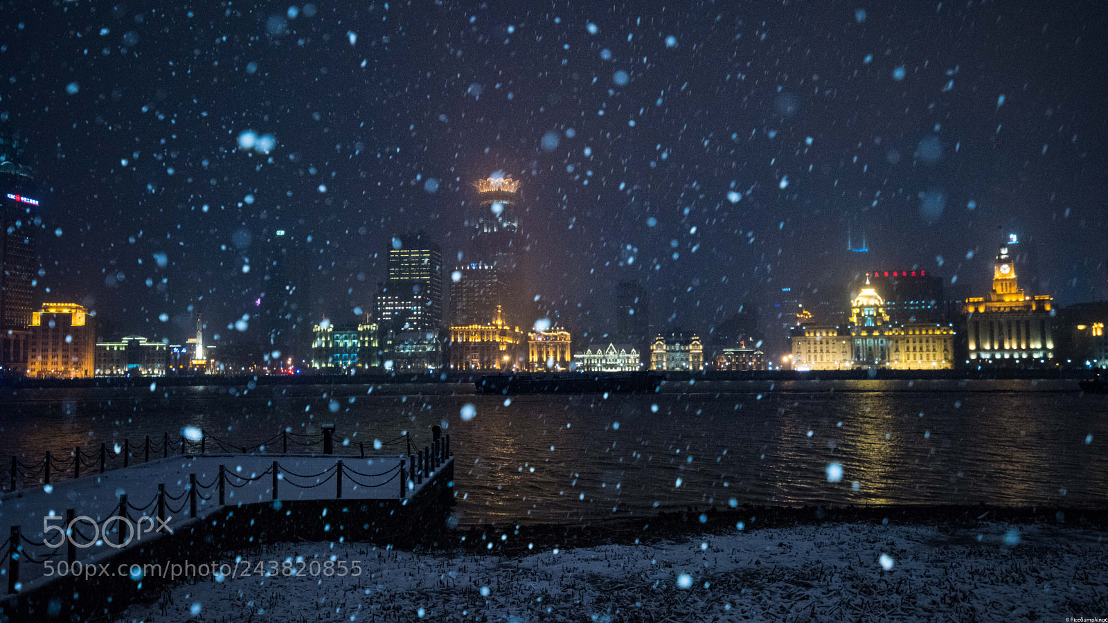 Nikon D810 sample photo. Snow in shanghai photography