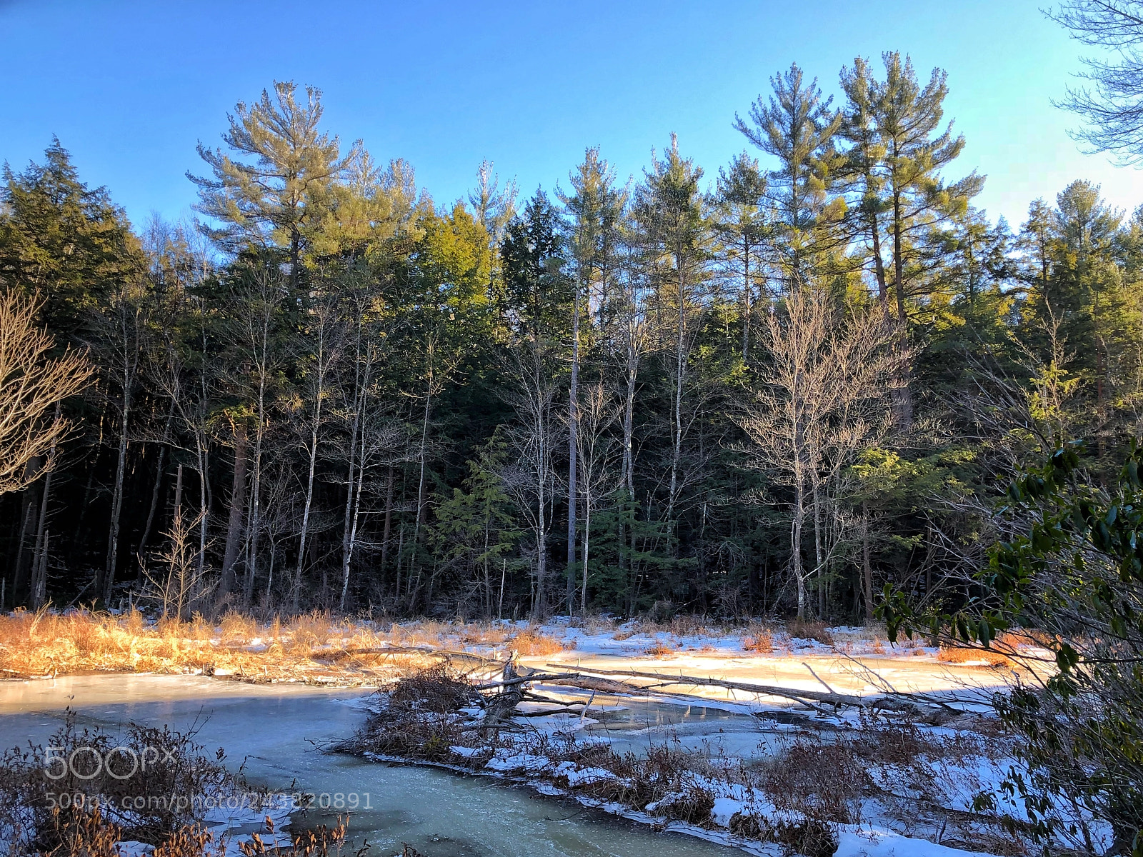 Apple iPhone 8 Plus sample photo. Winter in wendell  photography