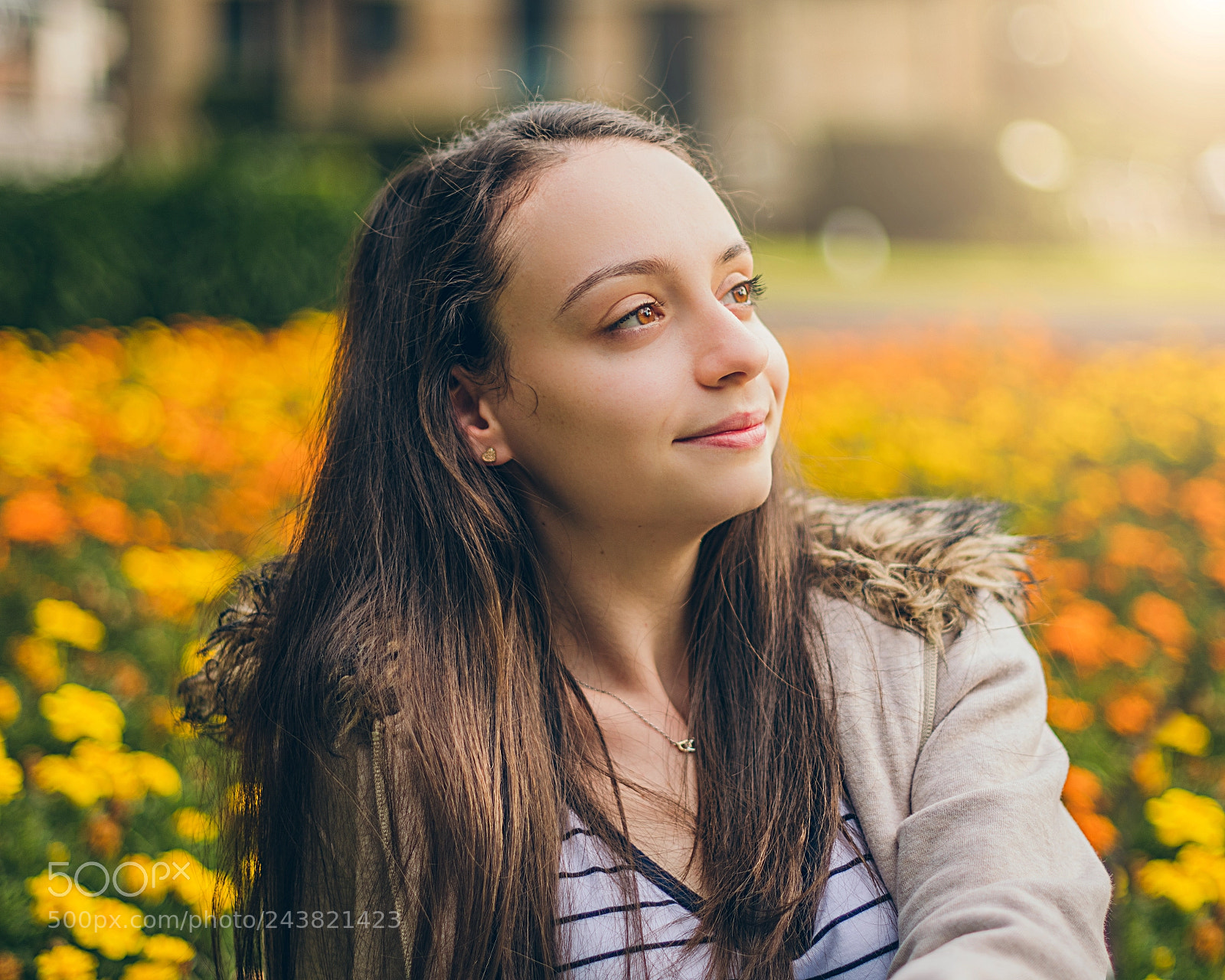 Nikon D850 sample photo. Untitled photography
