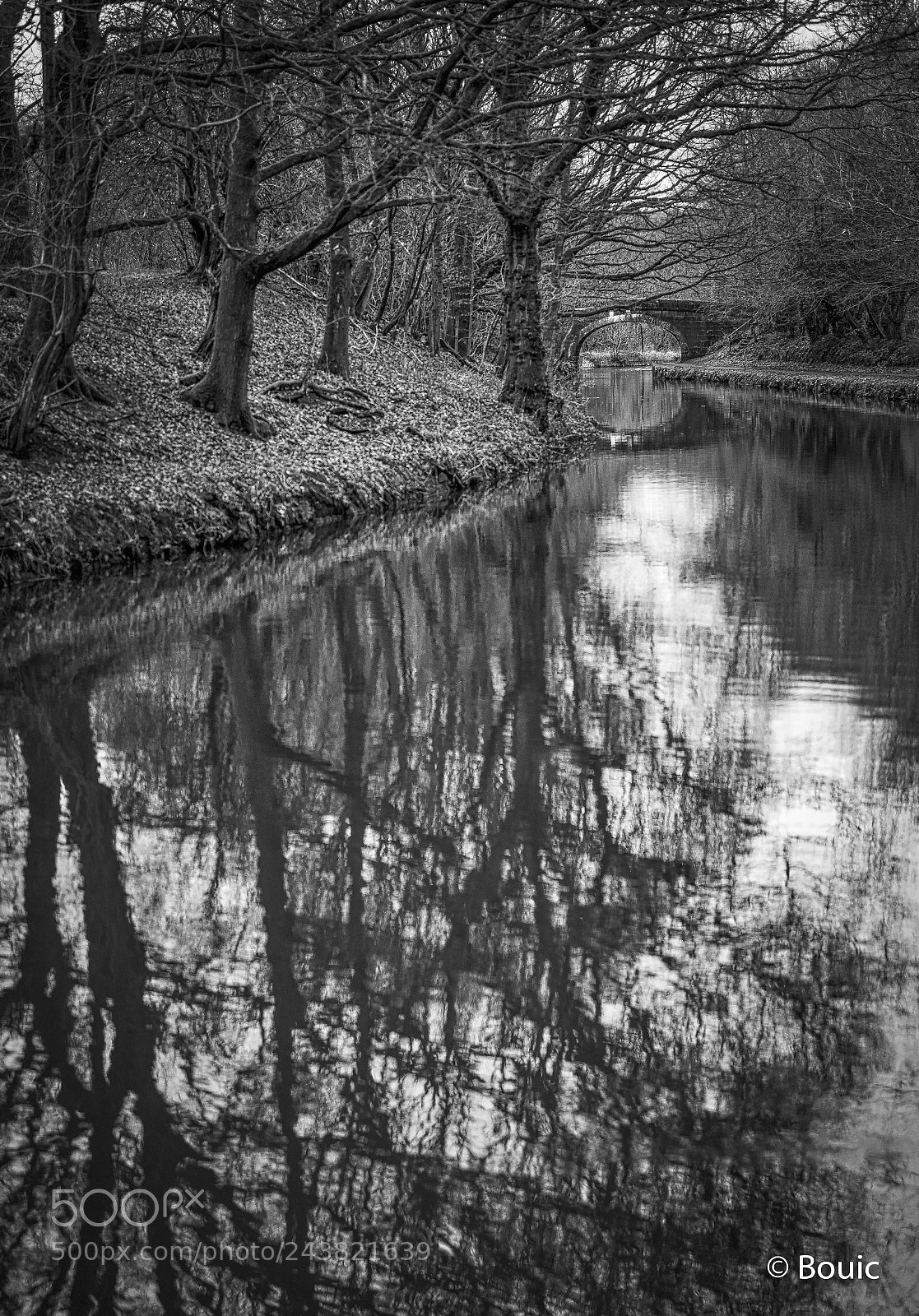 Leica SL (Typ 601) sample photo. Light path photography
