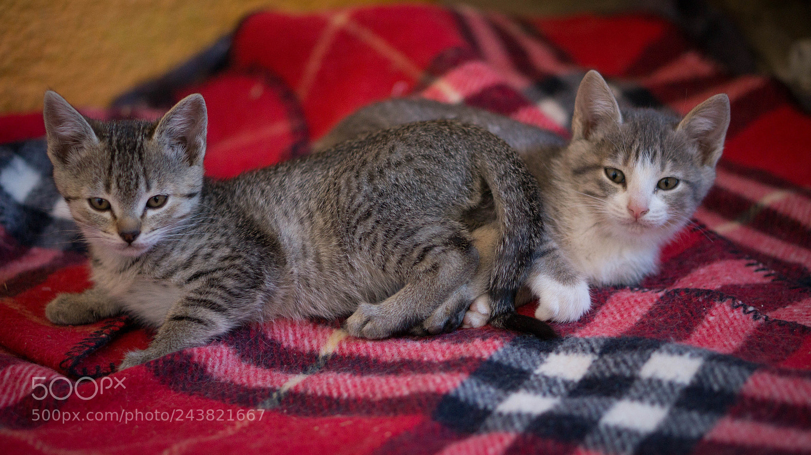Sony Alpha a3500 sample photo. Lucha and teodorita photography