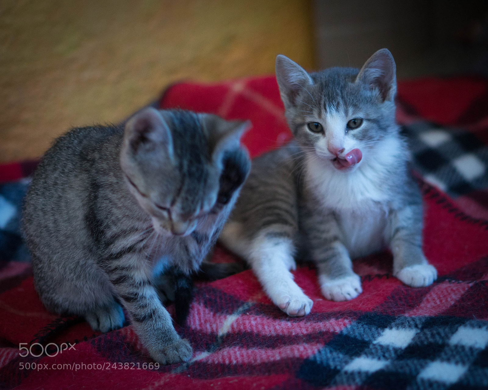 Sony Alpha a3500 sample photo. Lucha and teodorita photography