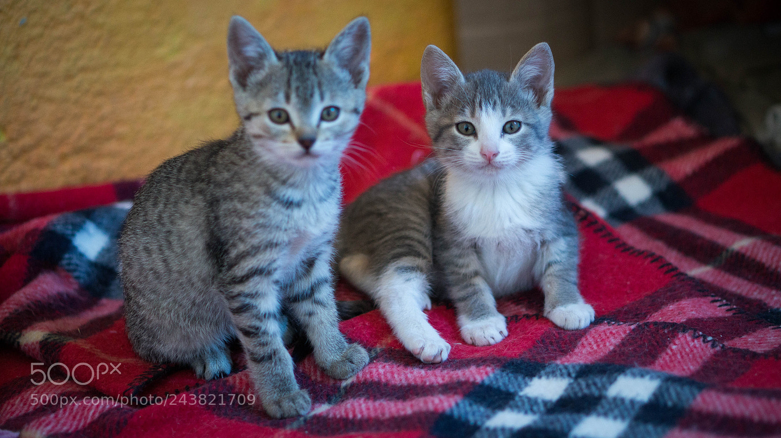Sony Alpha a3500 sample photo. Luchita and teodorita photography