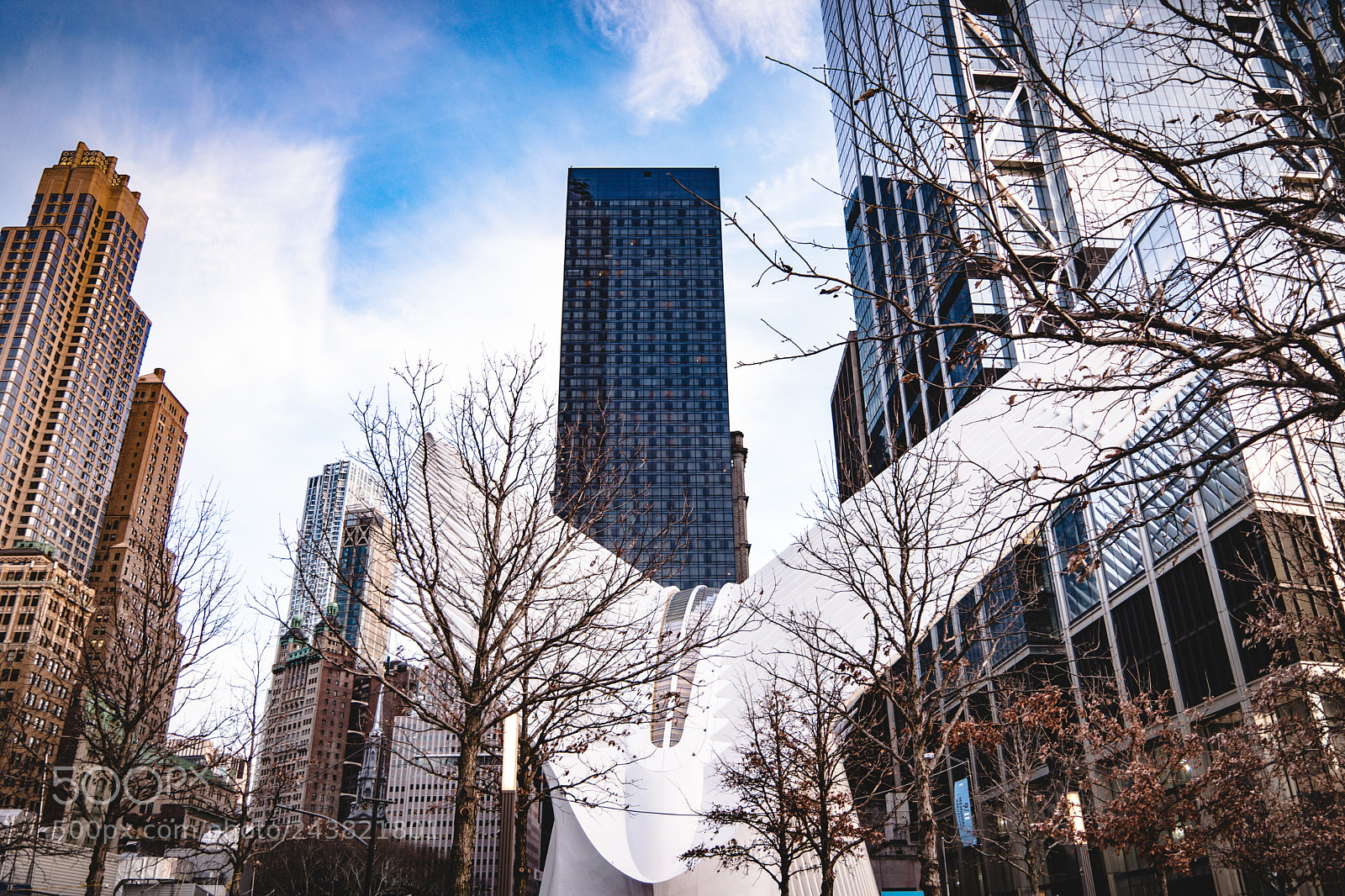 Leica CL sample photo. The oculus. photography