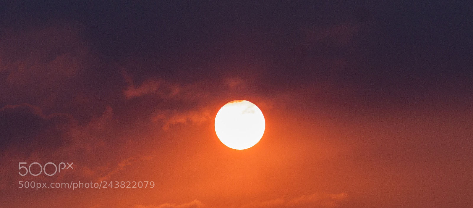 Canon EOS 50D sample photo. Shine on you crazy photography