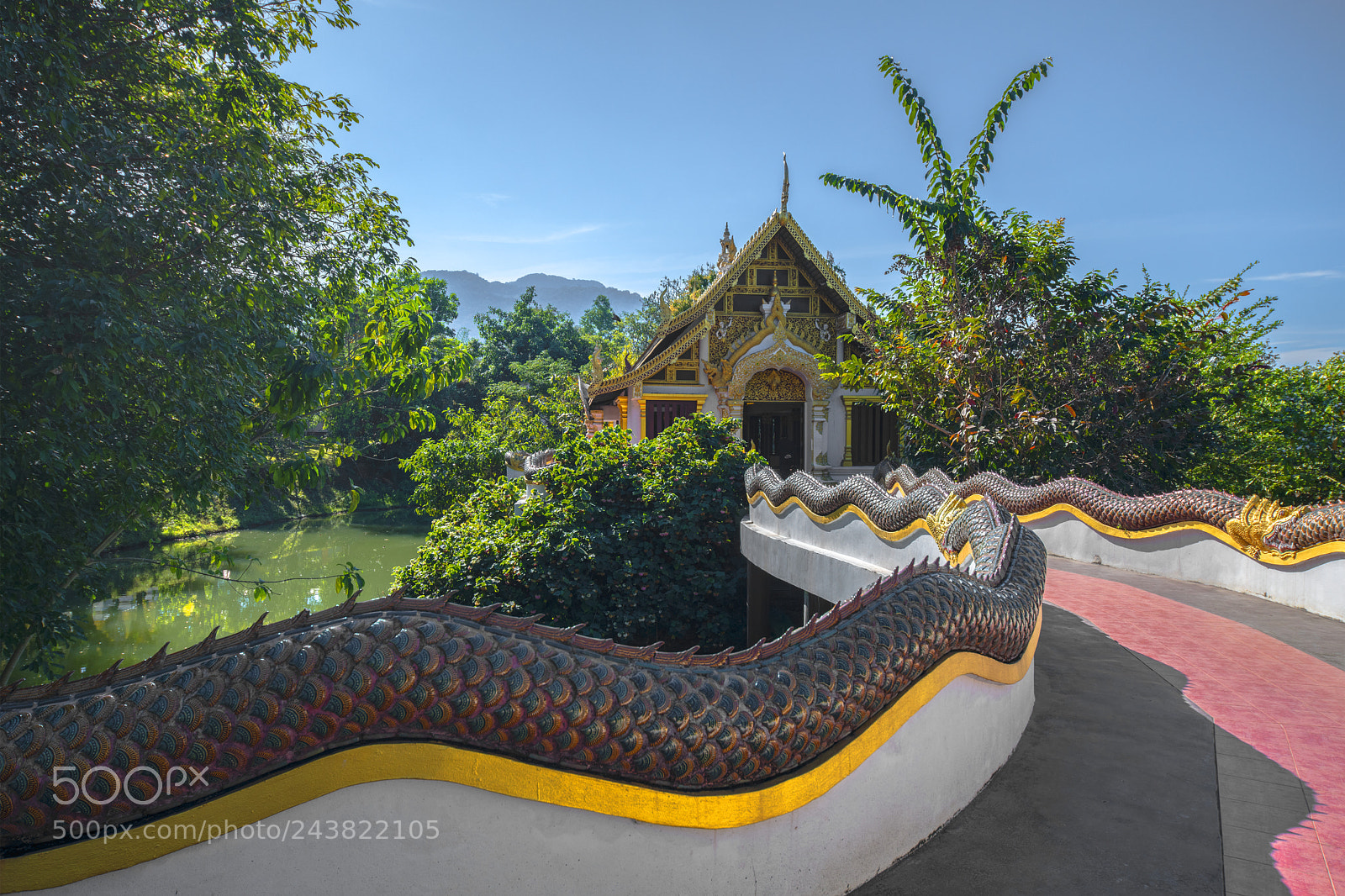 Nikon D850 sample photo. Pagode photography