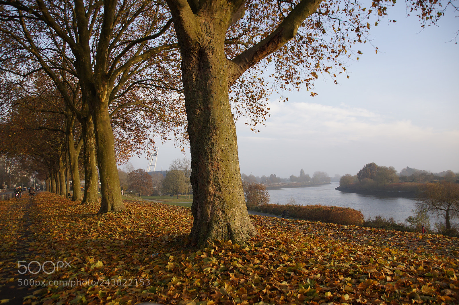 Sony SLT-A58 sample photo. Am osterdeich photography