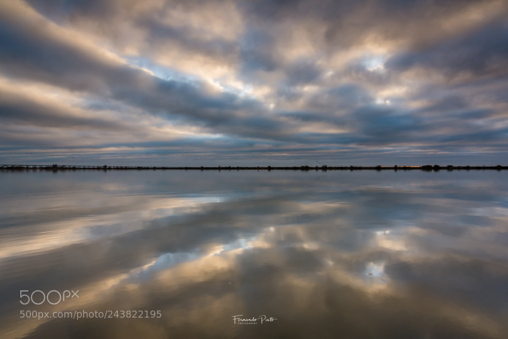 Nikon D7100 sample photo. Water mirror photography