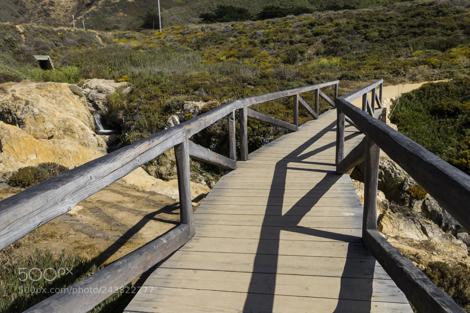 Canon EOS 77D (EOS 9000D / EOS 770D) sample photo. Ponte ponte photography