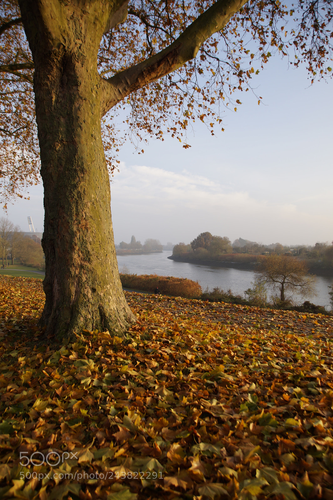 Sony SLT-A58 sample photo. View on the weser photography