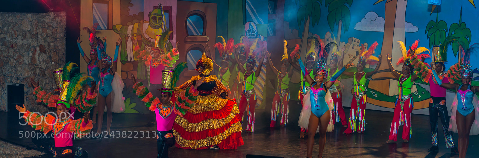 Nikon D800 sample photo. The show photography