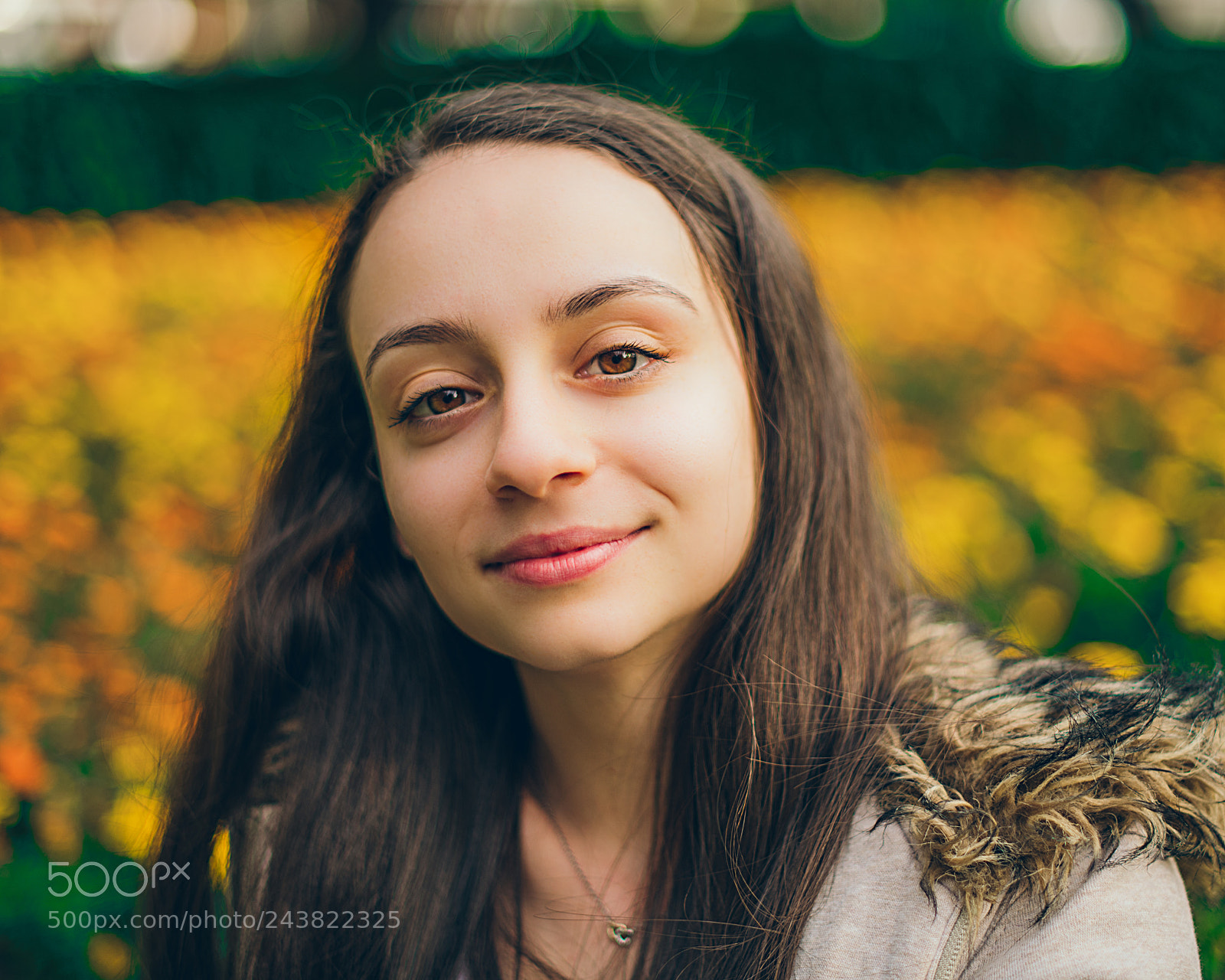 Nikon D850 sample photo. Untitled photography