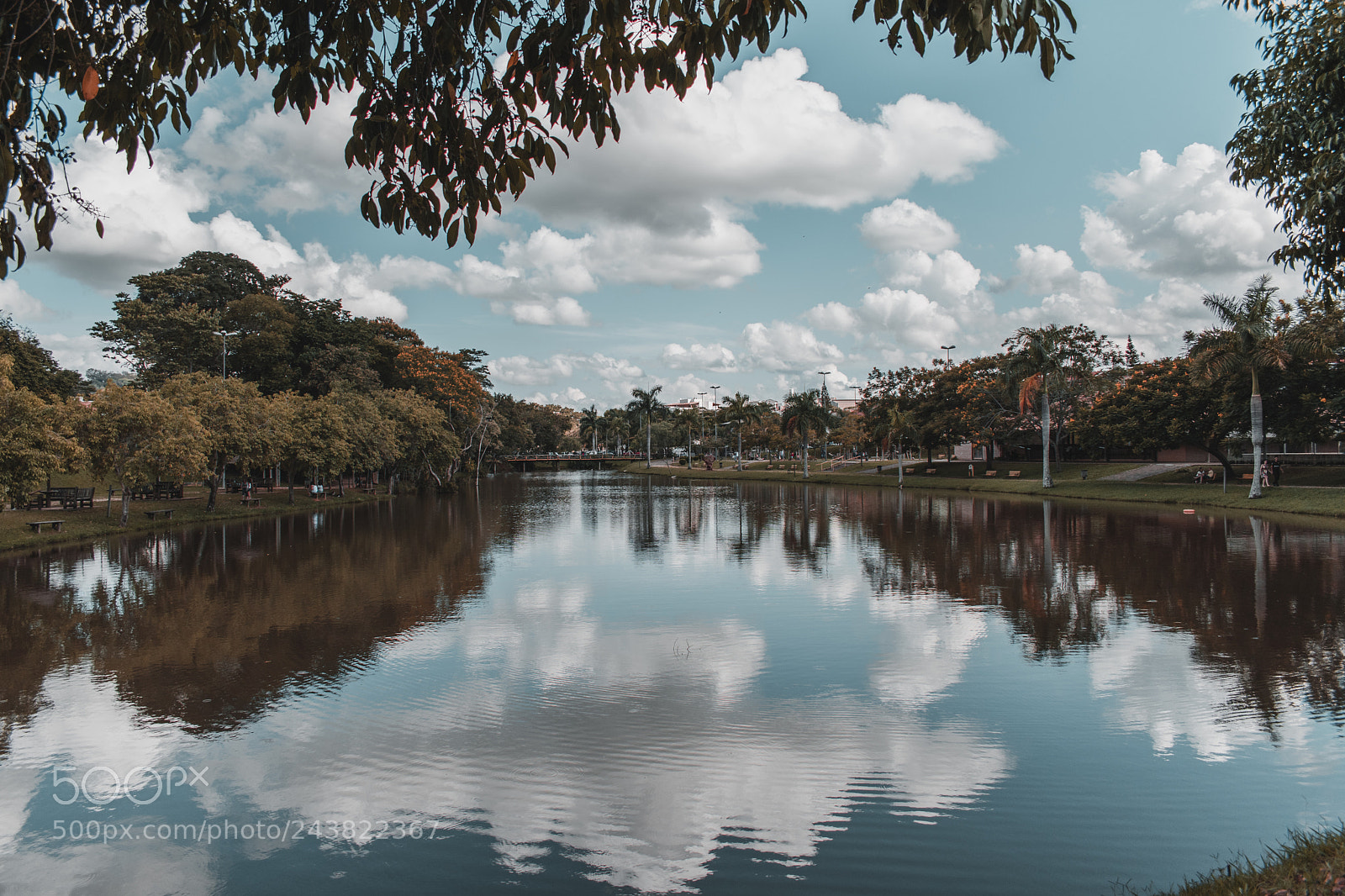 Nikon D5500 sample photo. Mirrored lake. 01/01/2018 photography