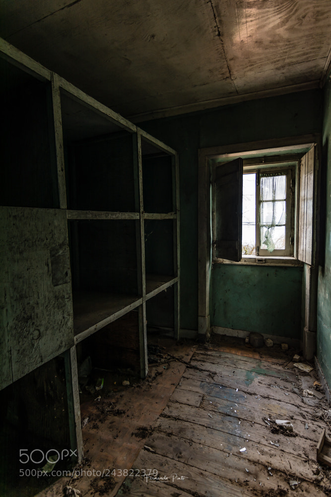 Nikon D7100 sample photo. Old food pantry photography