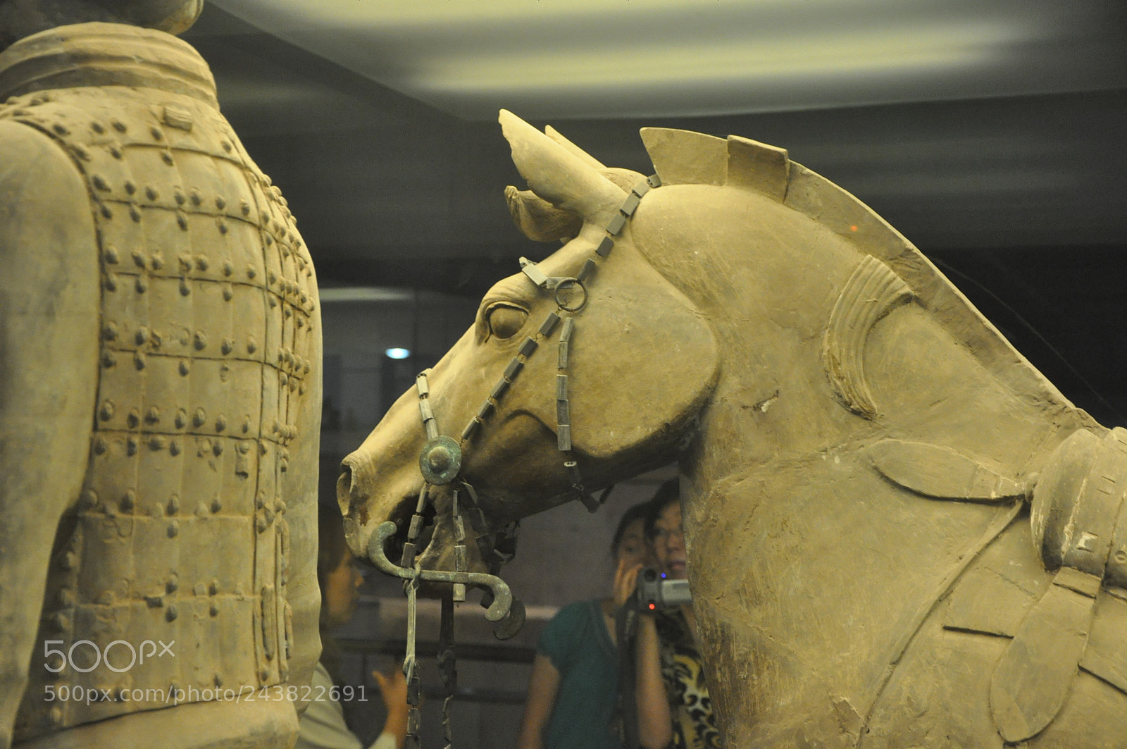 Nikon D90 sample photo. Horseman of a terracotta photography