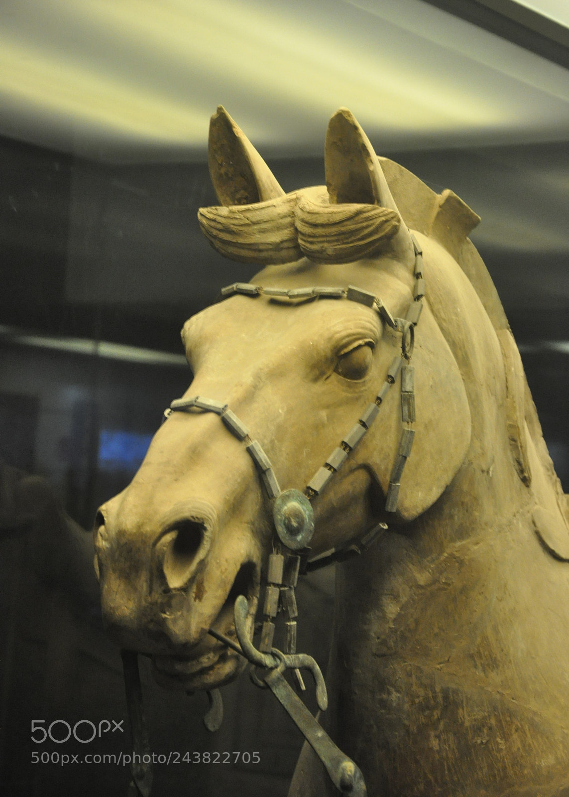 Nikon D90 sample photo. Horseman of a terracotta photography