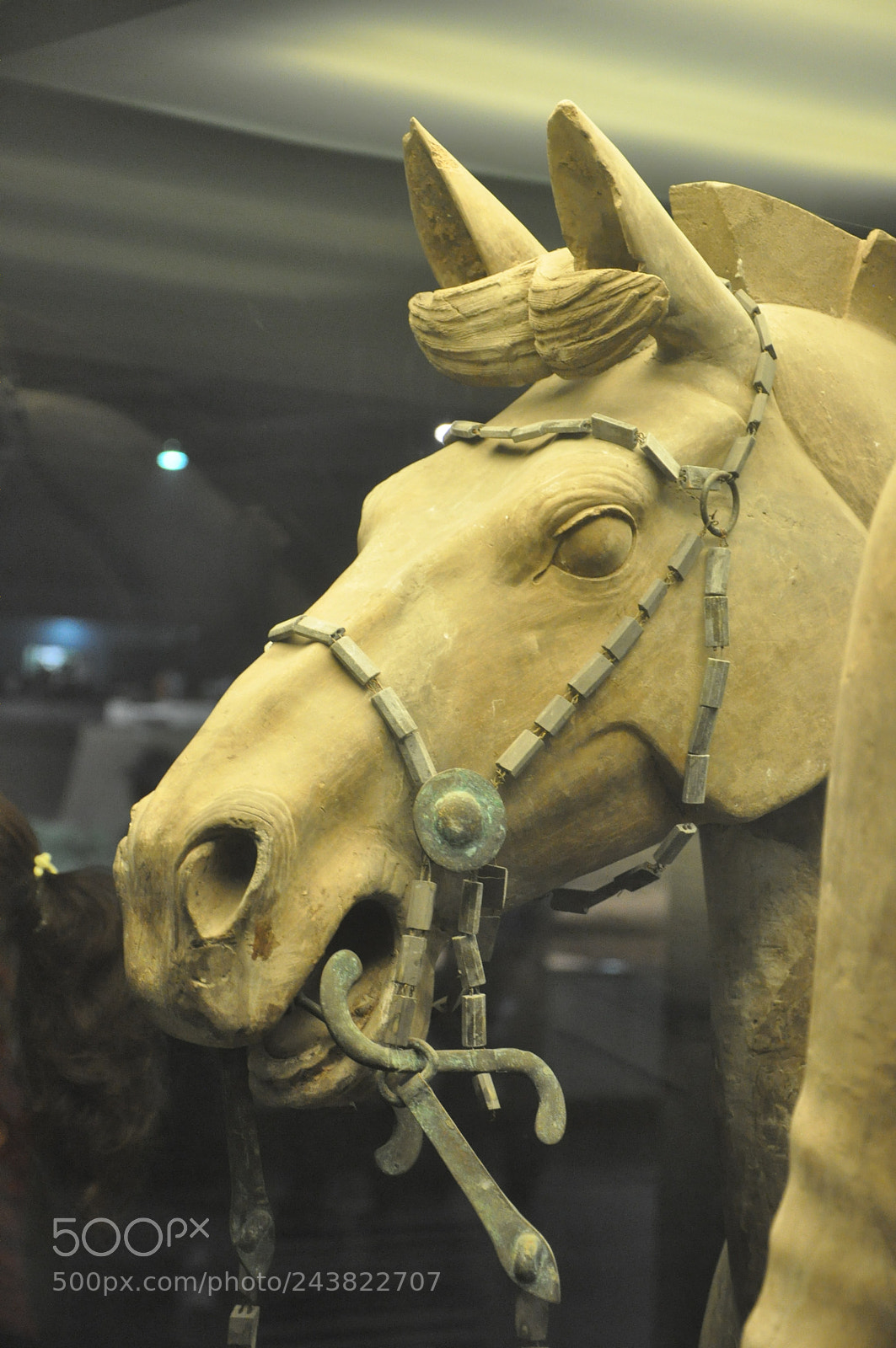 Nikon D90 sample photo. Horseman of a terracotta photography