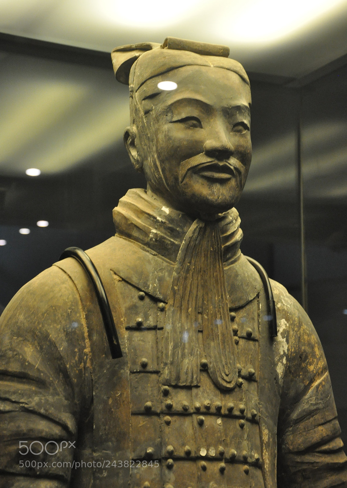 Nikon D90 sample photo. The rookie of the photography