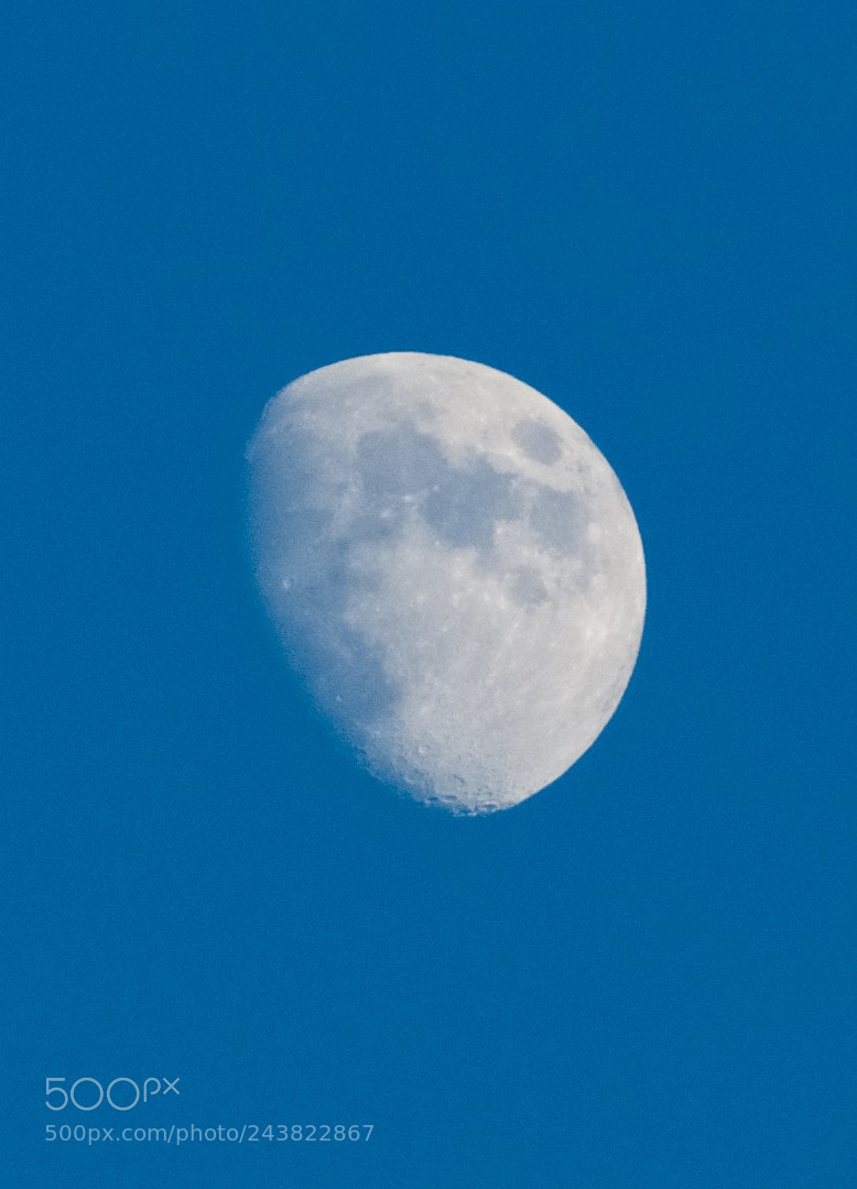 Sony SLT-A65 (SLT-A65V) sample photo. Our moon in daylight photography