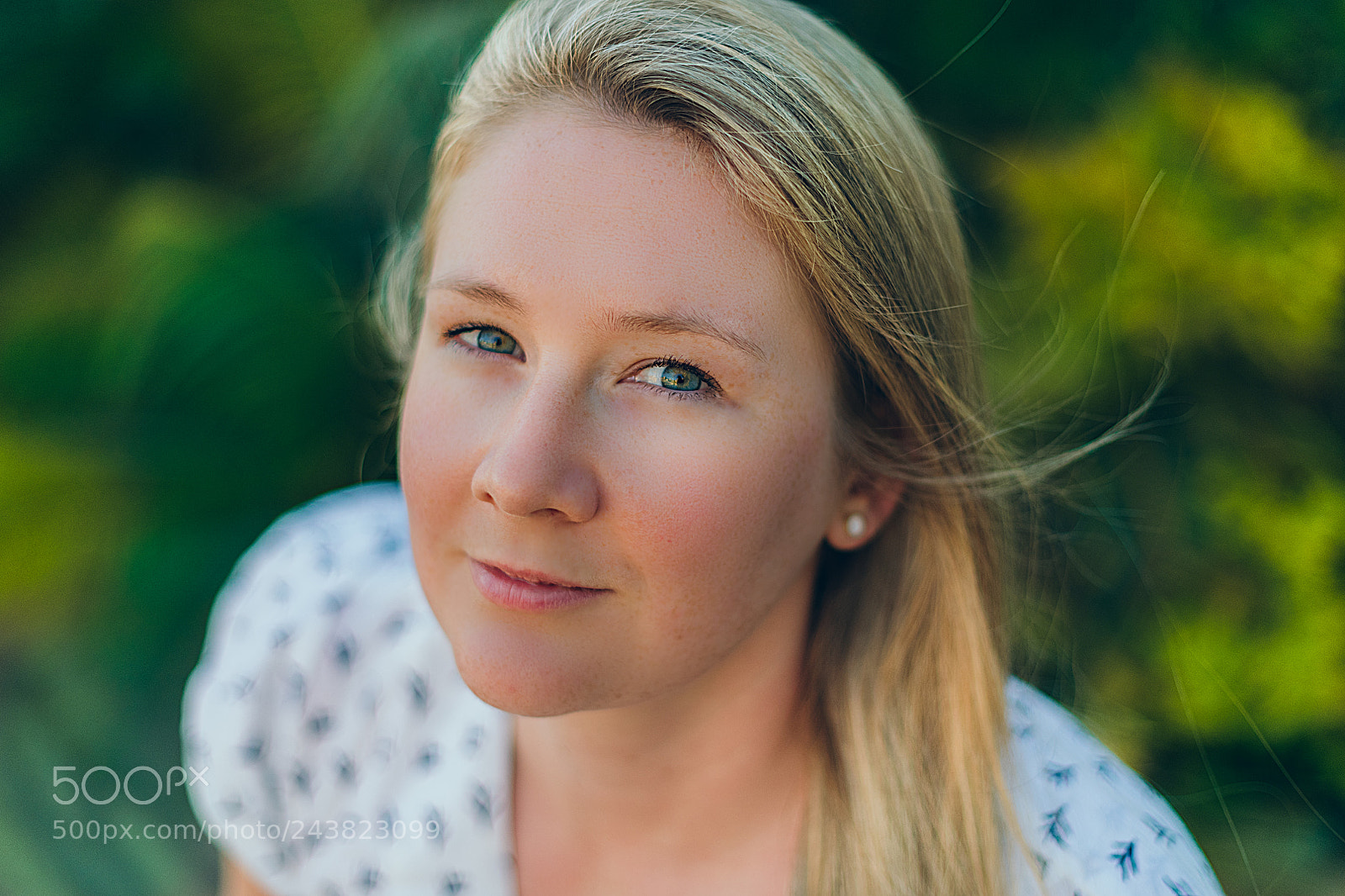 Nikon D850 sample photo. Untitled photography