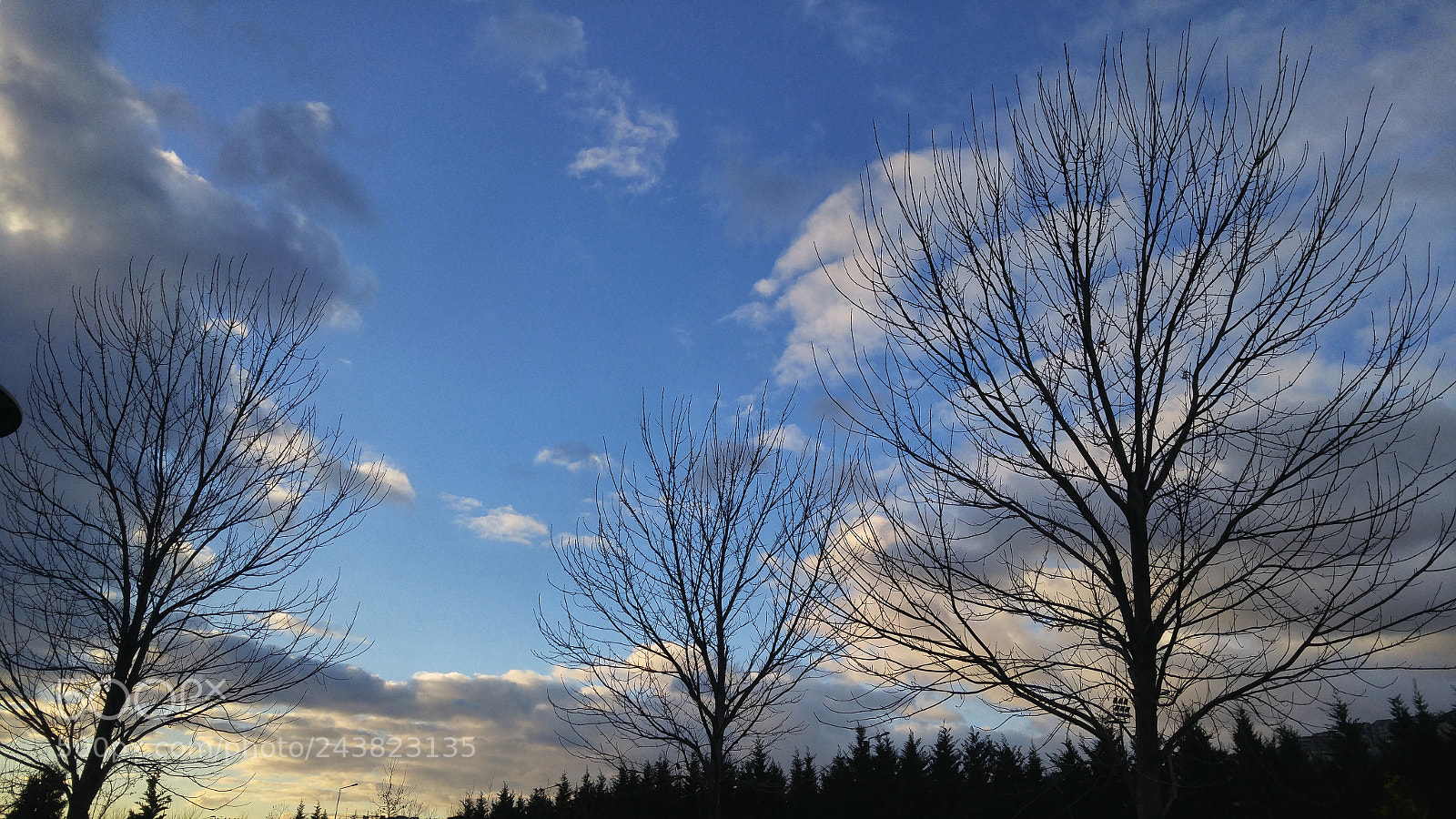 LG H818P sample photo. Untitled photography
