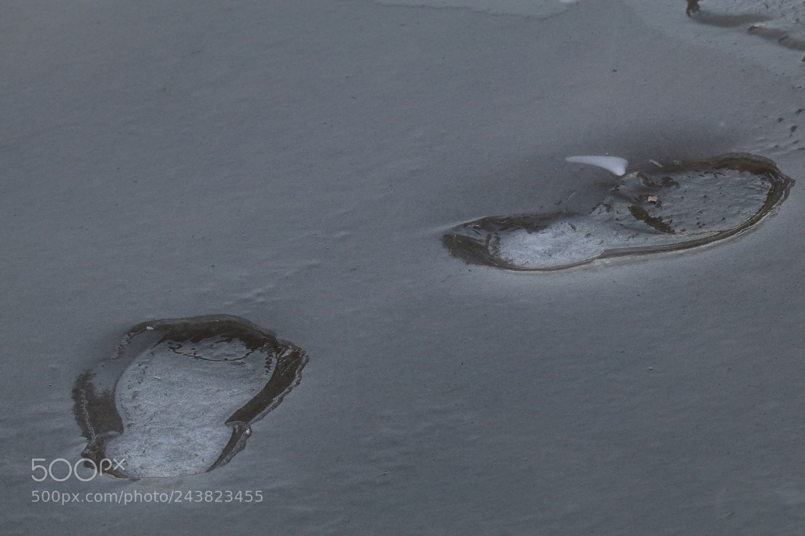 Tamron SP 150-600mm F5-6.3 Di VC USD sample photo. 冰的足迹ice footprints photography