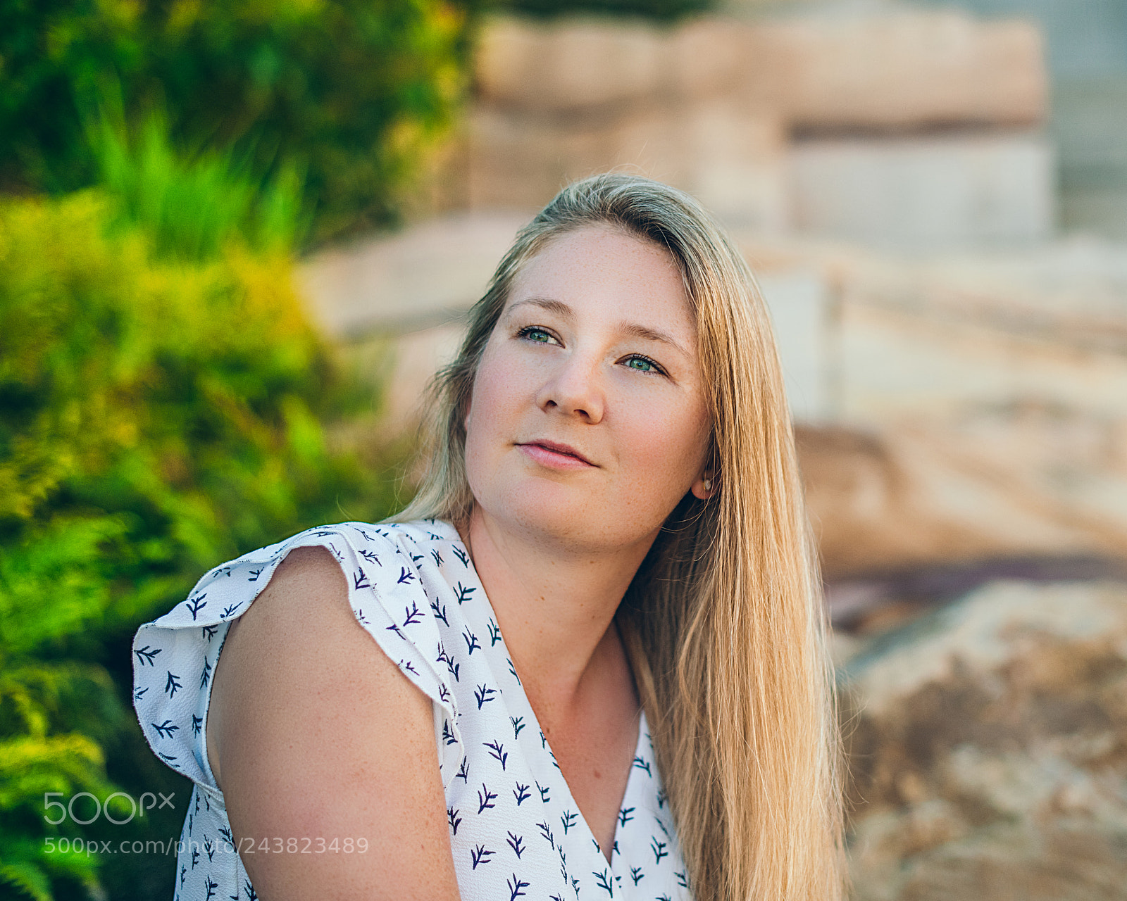 Nikon D850 sample photo. Untitled photography