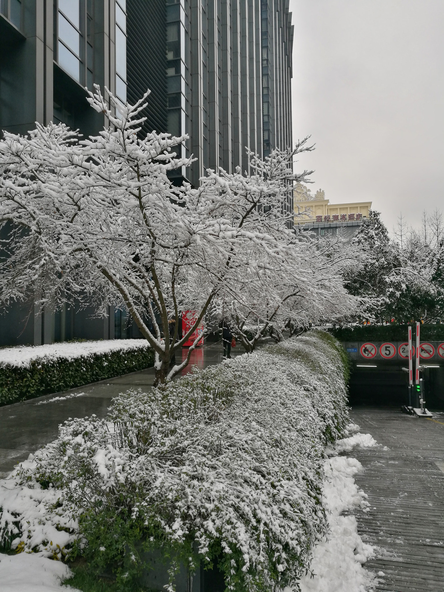 HUAWEI Honor V8 sample photo. Snow photography