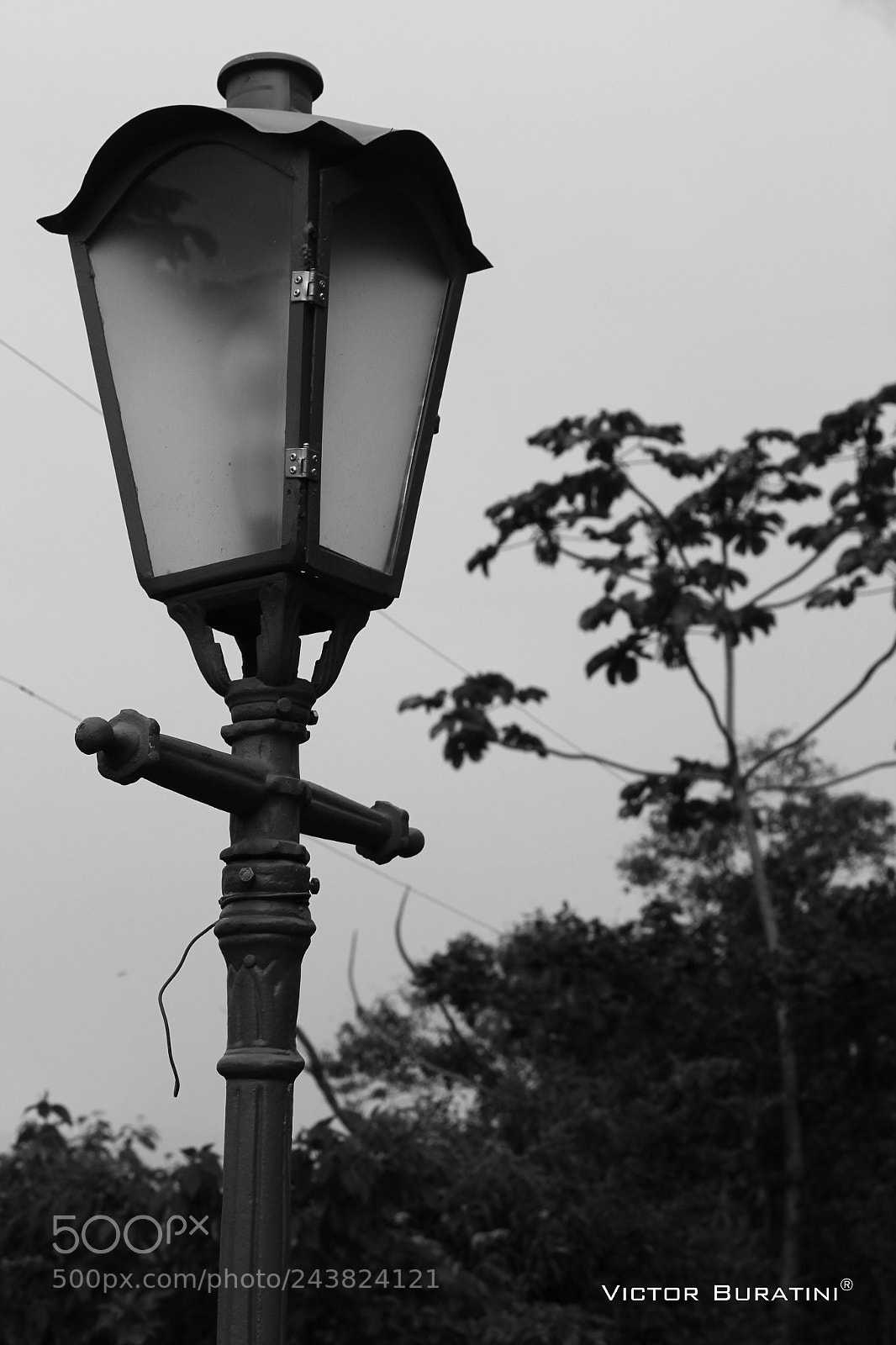 Canon EOS 1200D (EOS Rebel T5 / EOS Kiss X70 / EOS Hi) sample photo. Untitled photography